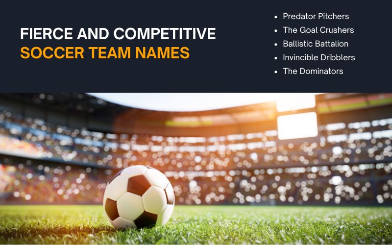 fierce-competitive-soccer-team-names