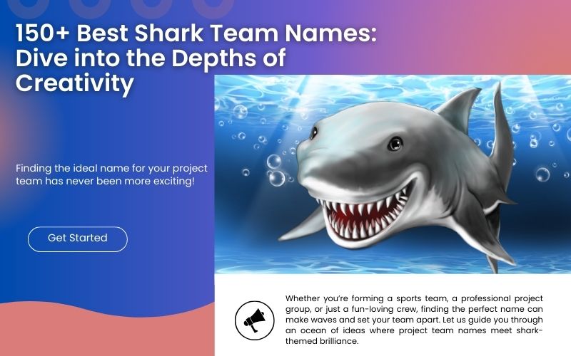 A creative team brainstorming ideas for shark-themed project team names.