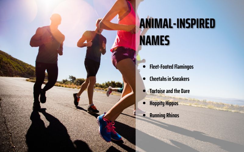  Running team with animal and weather-themed hilarious names.