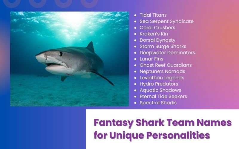  A fantasy gaming team selecting shark-inspired names.